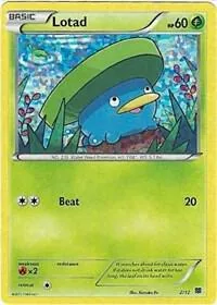 Lotad 002/12