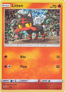 Litten 003/12