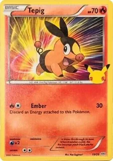 Tepig 013/25