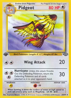 Pidgeot 024/64