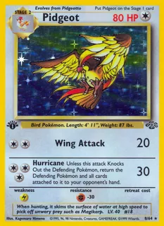 Pidgeot 008/64