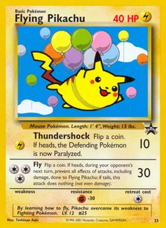 Flying Pikachu 025/53