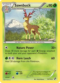 Sawsbuck 014/114