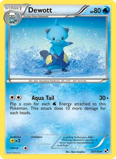 Dewott 030/114