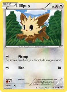 Lillipup 080/114