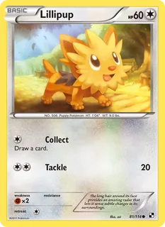 Lillipup 081/114