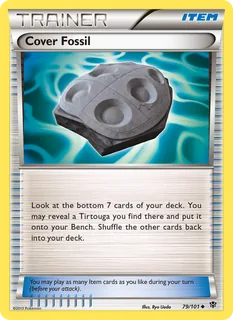 Cover Fossil 079/101