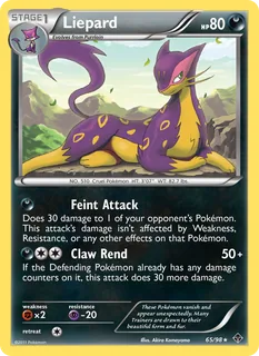 Liepard 065/98
