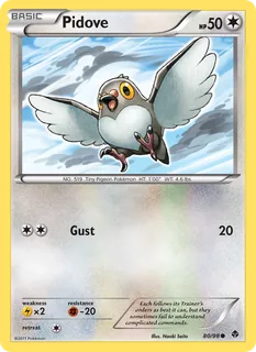 Pidove 080/98