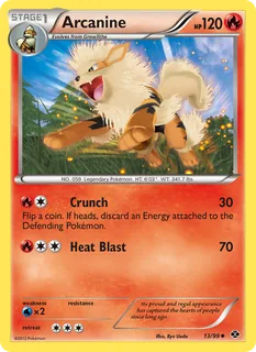 Arcanine 013/99