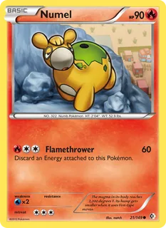 Numel 021/149
