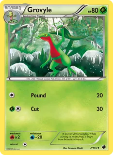 Grovyle 007/116