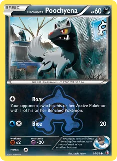 Team Aqua's Poochyena 016/34