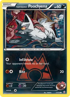 Team Magma's Poochyena 017/34