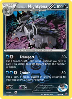 Team Aqua's Mightyena 018/34