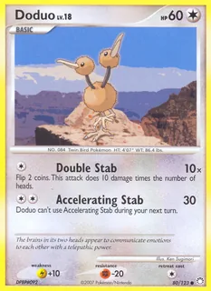 Doduo 080/123