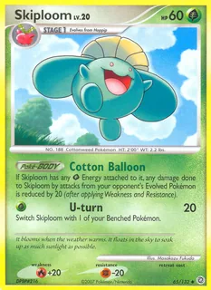 Skiploom 065/132