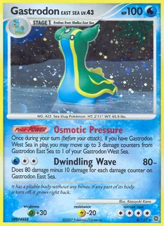 Gastrodon East Sea 008/132