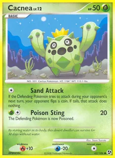 Cacnea 062/106