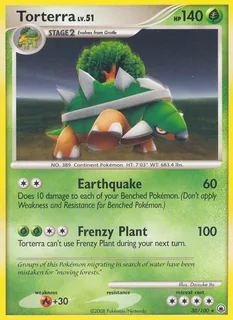 Torterra 030/100