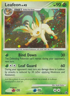 Leafeon 007/100