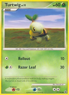 Turtwig 077/100