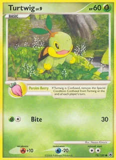 Turtwig 078/100