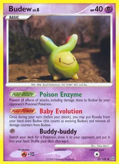 Budew 033/100
