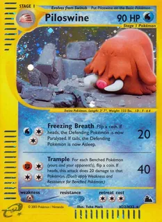 Piloswine H22/144