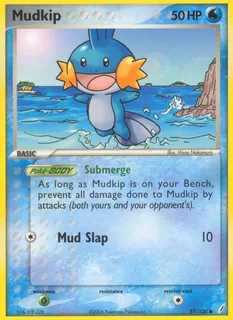 Mudkip 057/100
