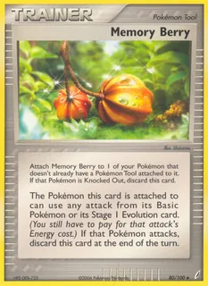 Memory Berry 080/100