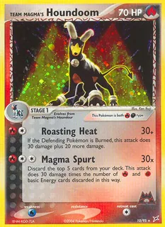 Team Magma's Houndoom 010/95