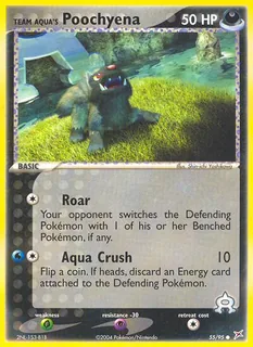 Team Aqua's Poochyena 055/95