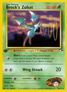 Brock's Zubat 024/132