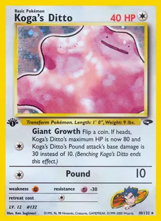 Koga's Ditto 010/132
