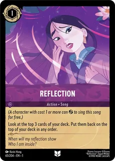Reflection 65/204/204