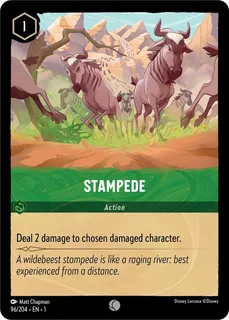 Stampede 96/204/204