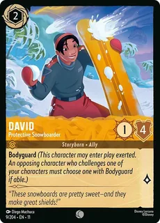 David - Protective Snowboarder 9/204/204