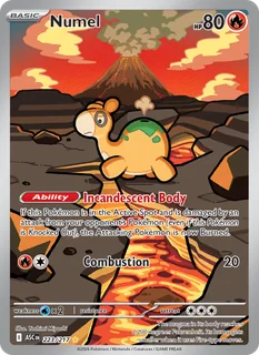 Numel 223/217