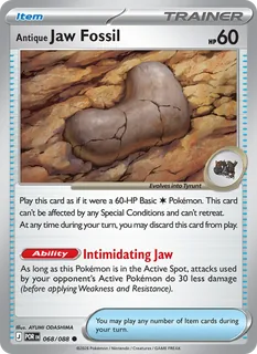 Antique Jaw Fossil 068/88