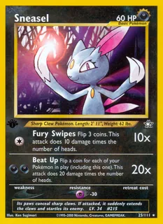 Sneasel 025/111