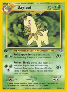 Bayleef 028/111