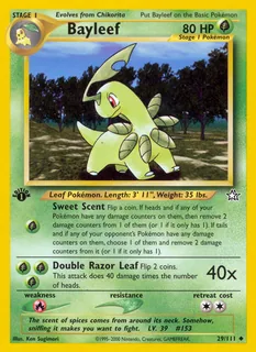 Bayleef 029/111