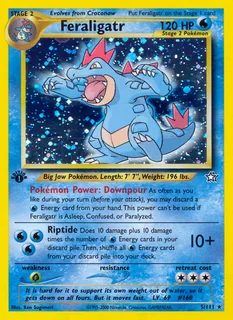 Feraligatr 005/111
