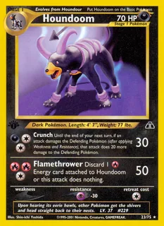 Houndoom 023/75