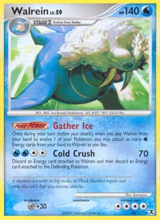 Walrein 036/111