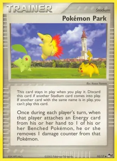 Pokémon Park 010/17