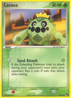 Cacnea 013/17