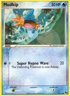 Mudkip 011/17