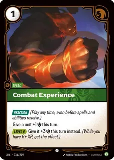 Combat Experience 031/219